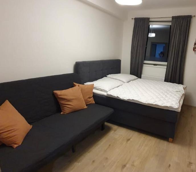 Apartman Nerudovka D 104, Finska Sauna, Garazove Stani Лоучна-под-Клиновцем Экстерьер фото
